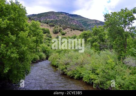 Utah - Logan River près du camping Guinavah Banque D'Images