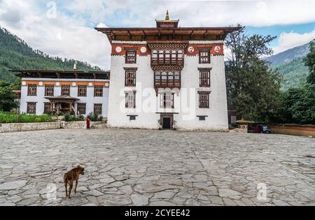 École d'astrologie Pangrizampa à Thimphu, Bhoutan Banque D'Images