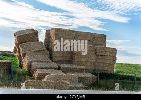 Balles de foin sur le champ agricole après la récolte Banque D'Images
