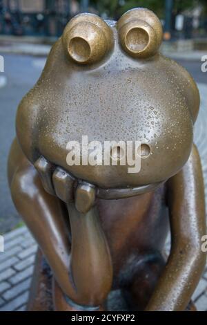 Boston, Massachusetts - le 25 octobre 2018 - Bronze frog donne sur une aire de têtard Banque D'Images