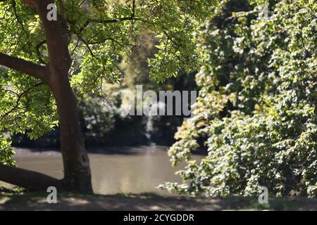 Paysage dans le parc du casino de Wiesbaden Banque D'Images