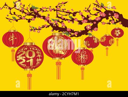 Décoration du nouvel an chinois - lanterne traditionnelle et fleur de prune sur un fond festif (traduction chinoise Happy chinese New year 2021, Year of ox Illustration de Vecteur