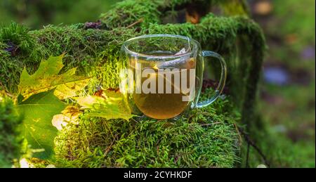Un verre de thé qui se tient dans la nature sous le couleurs d'automne avec mousse et feuilles d'érable Banque D'Images