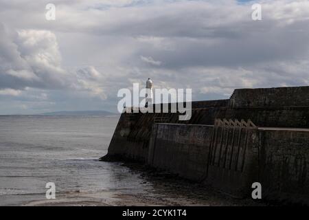 Low Tide au phare de Porthcawl et Breakwater. Pier/Breakwater Porthcawl pays de Galles Royaume-Uni Banque D'Images