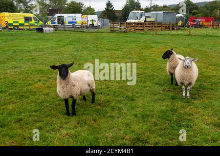 Wendover, Buckinghamshire, Royaume-Uni. 1er octobre 2020. La tranquillité d'une partie de Durham Farm qui a été la maison d'une génération de fermiers n'est plus à elle a été soumise à un ordre d'achat obligatoire par HS2 et la famille ont été expulsés de leur ferme. Les travailleurs de HS2 résident maintenant dans leurs casernes et la famille n'aurait pas encore reçu d'indemnisation financière de HS2. Le projet sur budget et controversé HS2 High Speed Rail de Londres à Birmingham met 108 anciennes terres boisées, 693 sites fauniques et 33 SSSI à risque de dommages ou de destruction. Crédit : Maureen McLe Banque D'Images