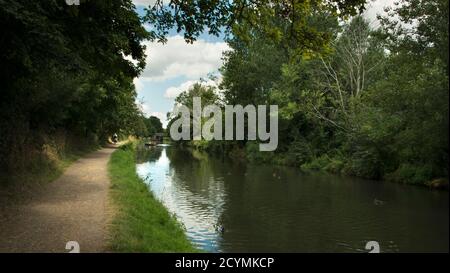 Chemin de halage du canal Chichester par beau temps. Banque D'Images