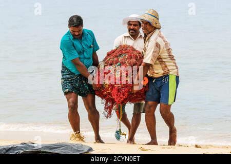 Pêcheurs transportant de lourds filets de leur bateau de pêche à la rive à la plage populaire de Marari; Mararikulam, Alappuzha (Alleppey), Kerala, Inde Banque D'Images