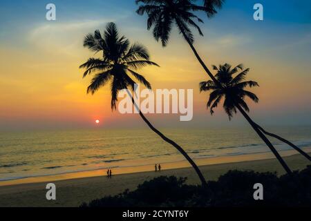 Penchée de palmiers au coucher du soleil sur la belle plage préservée de Kizhunna, au sud de Kannur sur la côte nord de l'État; Kizhunna, Kannur, Kerala, Inde Banque D'Images