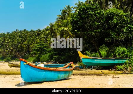 Bateaux de pêche à la belle, intacte, Kizhunna Beach, au sud de Kannur sur la côte nord du Keralan; Kizhunna, Kannur, Kerala, Inde Banque D'Images