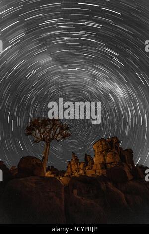 Star Trails plus quivertrees cercle en Namibie Banque D'Images