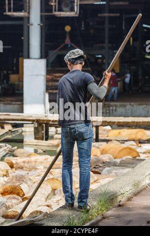 Un jeune homme flotte des grumes de bois de la cabane de scie au point d'alimentation d'une usine de contreplaqué à Sandakan, Sabah, Malaisie: Banque D'Images