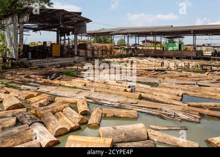 Étang en rondins d'une usine de contreplaqué à Sandakan, Sabah, Malaisie. Les grumes de bois ont été introduites dans l'usine de transformation à partir de là Banque D'Images