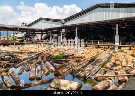 Étang en rondins d'une usine de contreplaqué à Sandakan, Sabah, Malaisie. Les grumes de bois ont été introduites dans l'usine de transformation à partir de là Banque D'Images