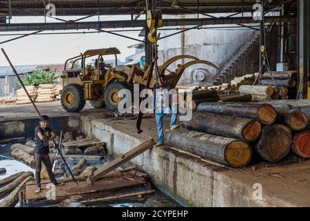 Point d'alimentation d'une usine de contreplaqué à Sandakan, en Malaisie: Les grumes de bois après avoir été levées hors de l'étang de bois, ont été alimentées dans la machine à éplucher le placage Banque D'Images