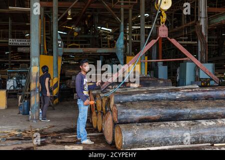 Point d'alimentation d'une usine de contreplaqué à Sandakan, en Malaisie: Les grumes de bois après avoir été levées hors de l'étang de bois, ont été alimentées dans la machine à éplucher le placage Banque D'Images