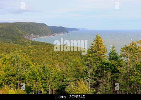 Sentier automobile de la route du sentier Fundy Trail Parkway; nouveau-Brunswick; Canada Banque D'Images