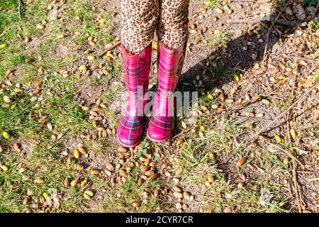 gros plan des pieds et des jambes des enfants portant des bottes wellington aux couleurs vives, assis sur un arbre tombé dans la campagne, sous le soleil d'automne Banque D'Images