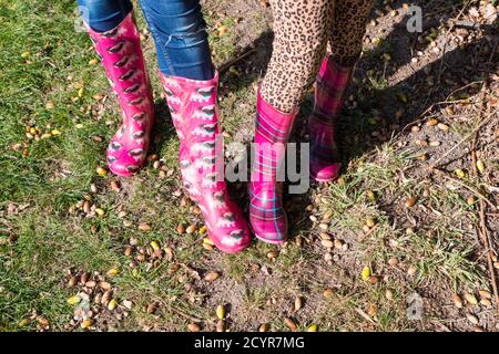 gros plan des pieds et des jambes des enfants portant des bottes wellington aux couleurs vives, assis sur un arbre tombé dans la campagne, sous le soleil d'automne Banque D'Images