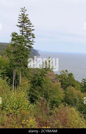 Sentier automobile de la route du sentier Fundy Trail Parkway; nouveau-Brunswick; Canada Banque D'Images