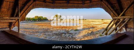 Vue depuis l'observation des animaux se cacher au-dessus d'un trou d'eau dans le parc national d'Etosha, Namibie Banque D'Images