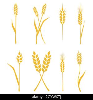 Jeu d'épis de blé ou d'icônes de riz. Symboles agricoles isolés sur fond blanc. Éléments de conception pour l'emballage du pain ou l'étiquette de bière. Vecteur Illustration de Vecteur