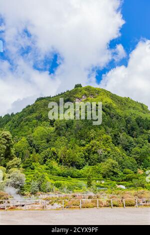 Vapeur des sources chaudes et des fumaroles au bord de lagoa das Furnas, calderas volcaniques au lac de Furnas Banque D'Images