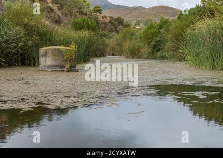 Rivière Guadalmina sur le sentier du cours d'eau (Acequia) près de Benahavis, Andalousie, Espagne. Banque D'Images