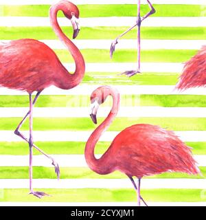 Flamants roses exotiques tropicaux sur fond horizontal rayé vert citron et blanc. Illustration aquarelle dessinée à la main. Motif sans coutures pour wrappi Banque D'Images