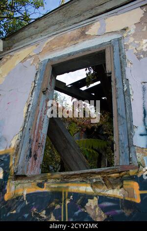 La fenêtre d'une ancienne maison en briques en ruines abandonnée avec des graffitis, surcultivée avec de l'herbe verte et des arbres. Vue à travers la fenêtre. Kiev, Ukraine Banque D'Images