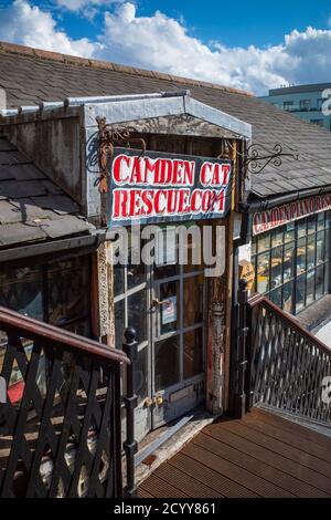 Panneau Camden Cat rescue.com sur un bâtiment à Camden Market, Camden Lock, Londres. Camden Cat Rescue Sign Camden London. Banque D'Images