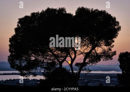 Coucher de soleil sur la ville de Cagliari, vue depuis le château de San Michele, Sardaigne, Italie Banque D'Images