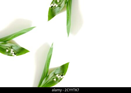 Lily de la vallée de fleurs cadre sur un fond blanc. Concept de printemps avec place pour le texte. Banque D'Images