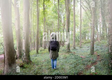 Vue arrière d'une femme marchant dans une forêt brumeuse, portant un parka et un sac à dos Banque D'Images