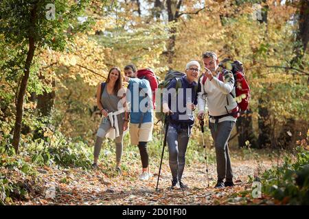 Trekking en famille dans les bois; concept de temps en famille de qualité Banque D'Images