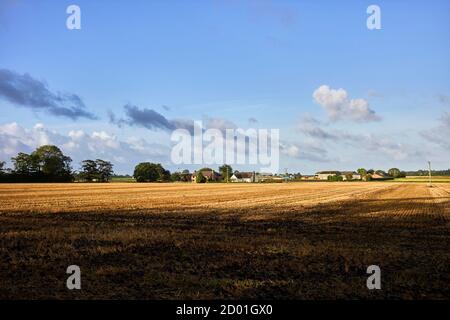 Champ arable récemment coupé sur les terres plates de Scarabriques, Lancashire avec un premier plan foncé et une grande zone de ciel bleu clair Banque D'Images