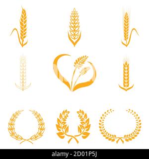 Icônes d'épis de blé ou de riz. Pointes agricoles de symboles de blé sur fond blanc. Agriculture biologique semences de culture agricole emballage ou étiquette de pain Illustration de Vecteur