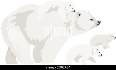 Illustration vectorielle de couleur plate de la famille des ours polaires. Animaux sauvages du Nord, petits marchant. Mère de mammifère marin avec bébé. Animal arctique isolé Illustration de Vecteur