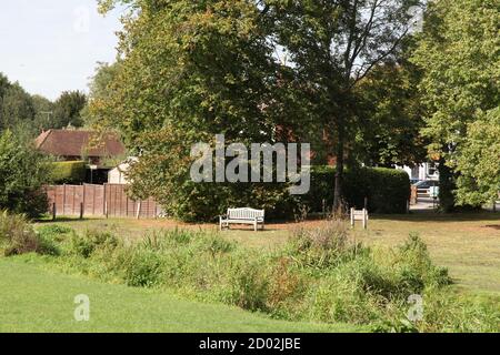 Un banc vide unique sur la rive verte du village de la rivière Tillingbourne surplombant le terrain de cricket d'Abinger Hammer, Surrey, Royaume-Uni, 2020 Banque D'Images