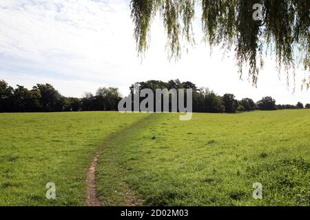Un champ de randonneurs qui traverse les collines de Surrey, situé derrière Wondham Way dans le village d'Abinger Hammer, Surrey, Royaume-Uni, septembre 2020 Banque D'Images