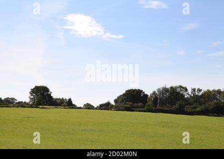 Un champ de randonneurs qui traverse les collines de Surrey, situé derrière Wondham Way dans le village d'Abinger Hammer, Surrey, Royaume-Uni, septembre 2020 Banque D'Images
