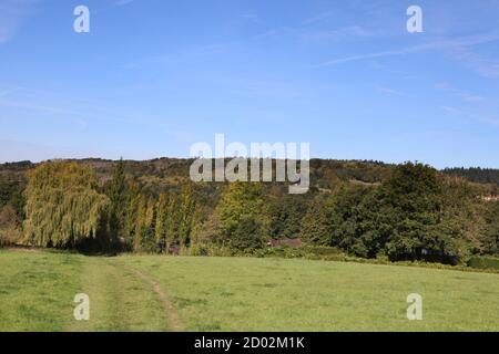 Un champ de randonneurs qui traverse les collines de Surrey, situé derrière Wondham Way dans le village d'Abinger Hammer, Surrey, Royaume-Uni, septembre 2020 Banque D'Images