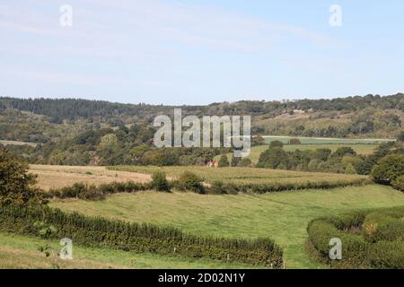 Une belle vue sur les collines de Surrey depuis Abinger Hammer, un champ de maïs sucré au milieu du sol, village de Surrey, Surrey, Royaume-Uni, septembre 2020 Banque D'Images