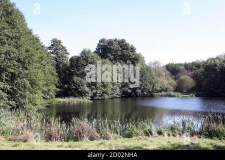 Paddington Mill Pond sur le domaine de Wotton dans le village d'Abinger Hammer situé dans les collines de Surrey, Surrey, Royaume-Uni, septembre 2020 Banque D'Images