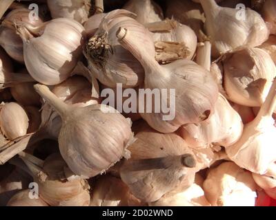 Gros plan d'une pile d'ail Banque D'Images