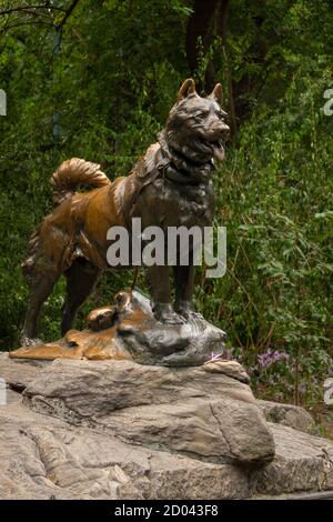 Statue de chien de traîneau Balto à Central Park, New York Banque D'Images