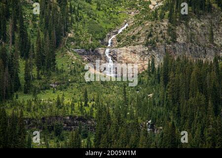 Une cascade pittoresque parmi les arbres du Colorado Banque D'Images