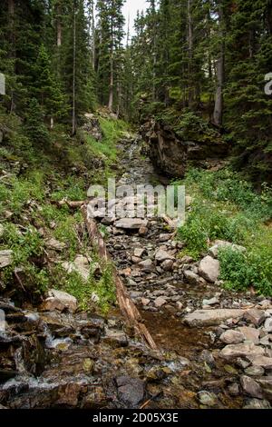 Une crique parmi les arbres dans le Colorado Banque D'Images