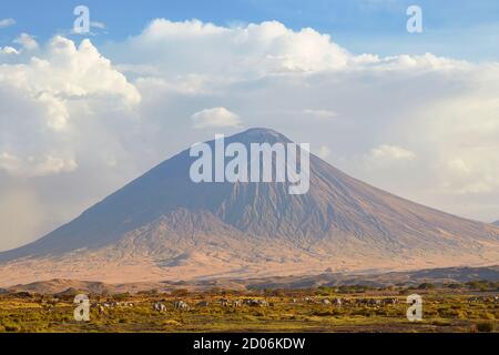 Le volcan OL Doinyo Lengai, également connu sous le nom de « montagne de Dieu », au sud du lac Natron, en Tanzanie, en Afrique. Banque D'Images