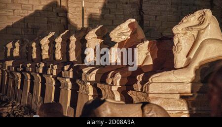 Rangée de lions sculptés en pierre massive l'entrée Protection à Louxor en Égypte pendant la nuit. Banque D'Images