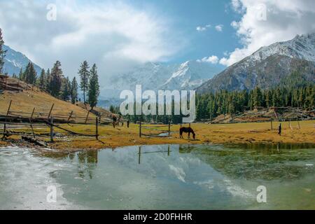 lac de réflexion prairies de fées dans les régions du nord du gilgit battistan Pakistan Banque D'Images